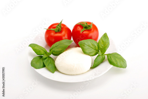 MOZZARELLA