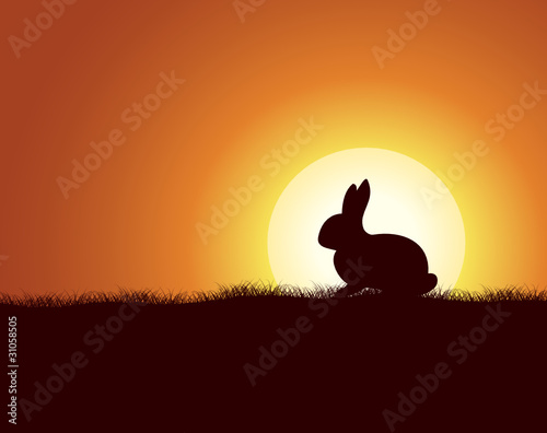 osterhase Abendsonne