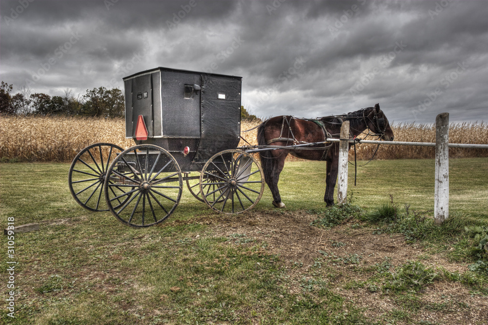 Amish Carriage and Horse Princeton Wisconsin