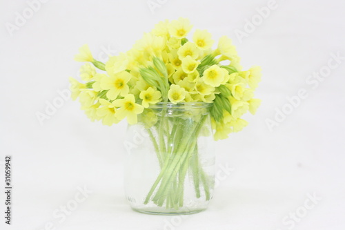 Wallpaper Mural Coucou 4 Torontodigital.ca