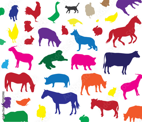 vector farm animals background