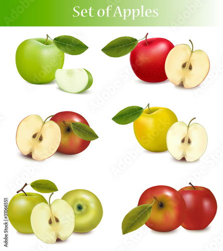 Big set of fresh apples. Vector.