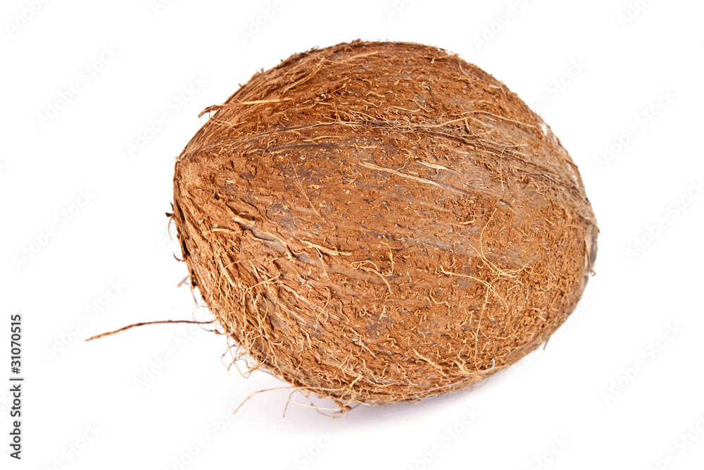 Coconut isolated on white Coconut isolated on white