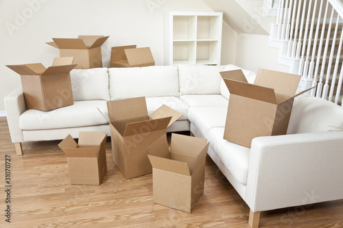Room Of Cardboard Boxes for Moving House © Darren Baker