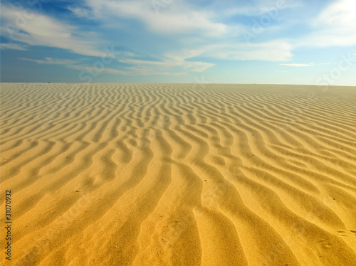 desert landscape © Željko Radojko