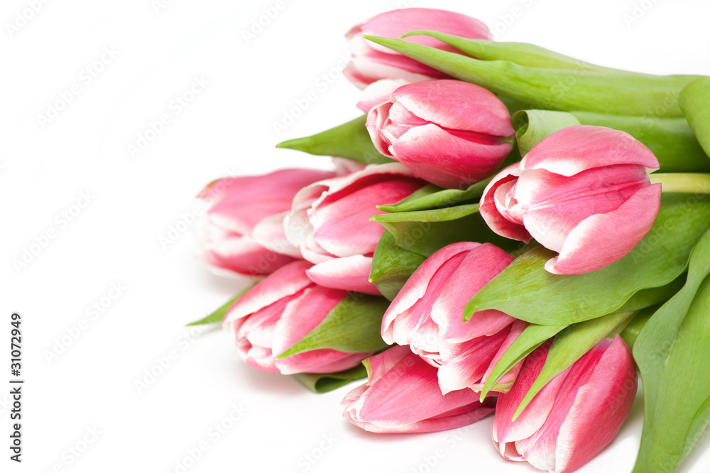 bunch of pink tulips and empty space