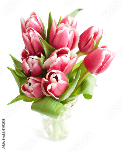 Fototapeta Naklejka Na Ścianę i Meble -  pink tulips