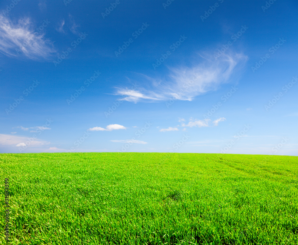 Green field under blue cloudy sky