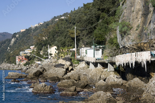 Mount Portofino Park - Porto Pidocchio near Punta Chiappa photo