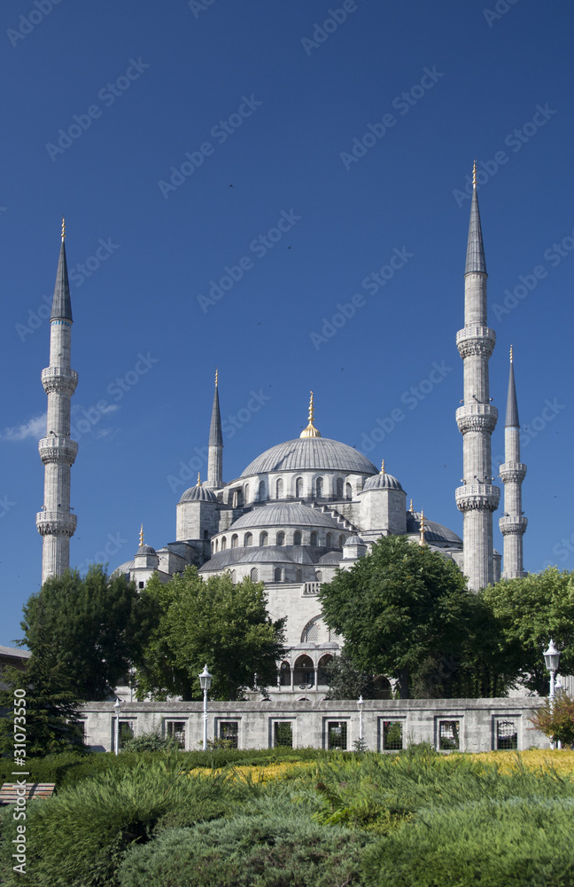 Fototapeta premium Blue Mosque in Istanbul