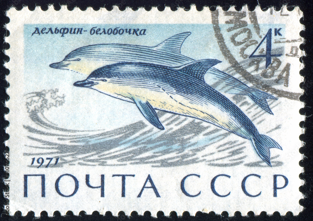 Obraz premium postage stamp