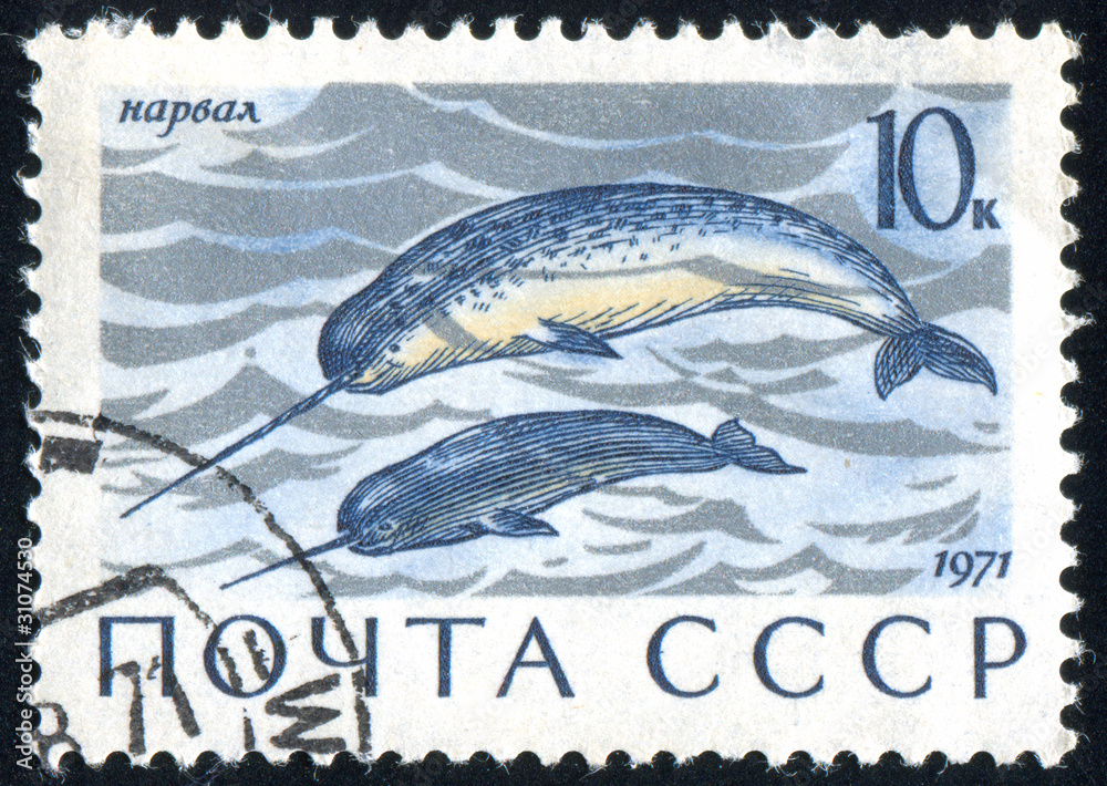 Fototapeta premium postage stamp