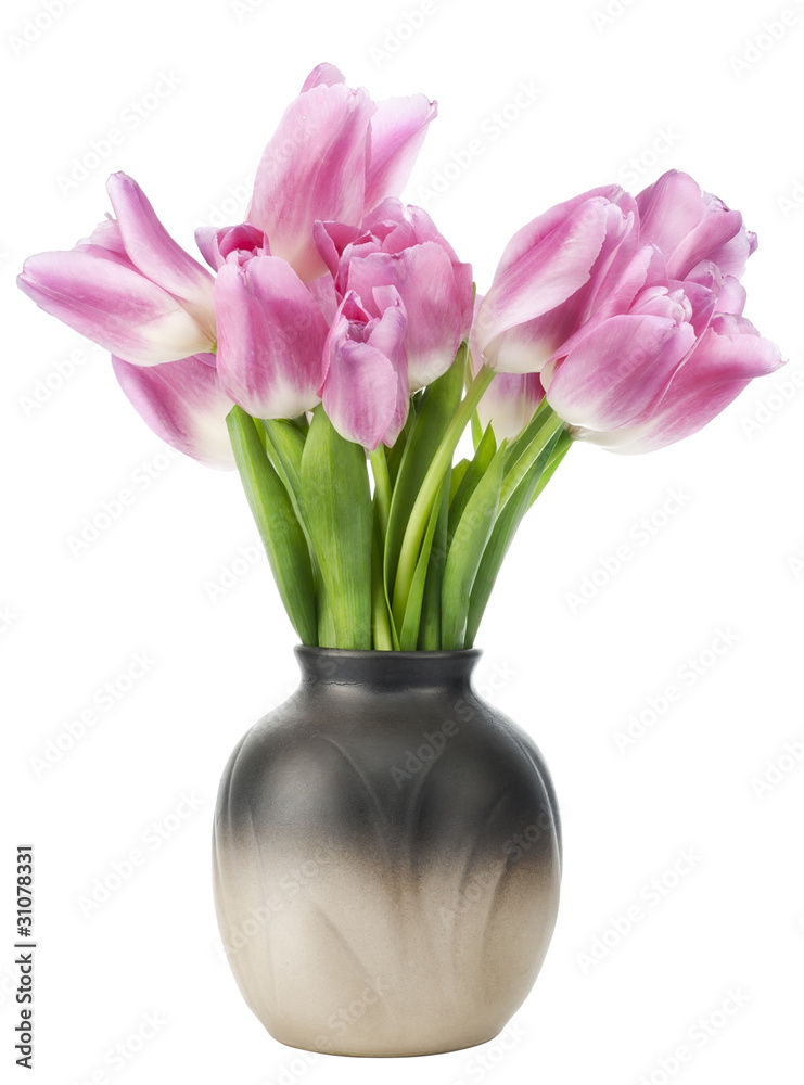 First pink spring tulips First pink spring tulips