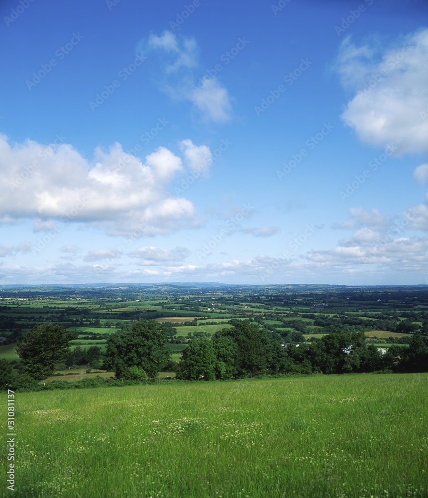 Pastoral Farmscape, Borris, Co Carlow, Ireland Pastoral Farmscape, Borris, Co Carlow, Ireland