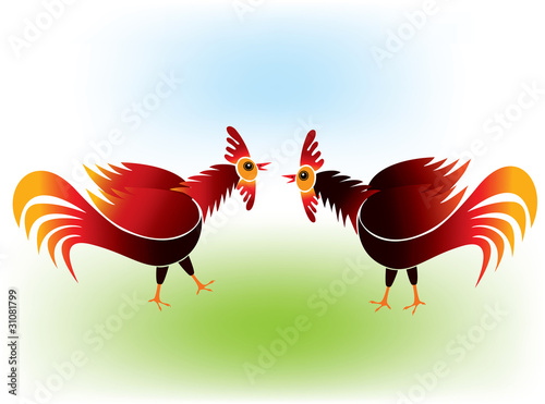 Foto Cock fighting