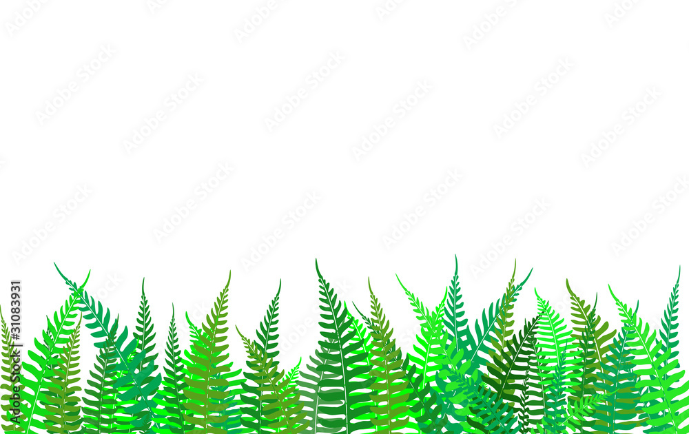 Colorful fern background