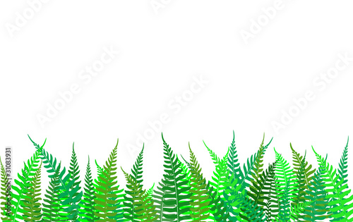 Colorful fern background