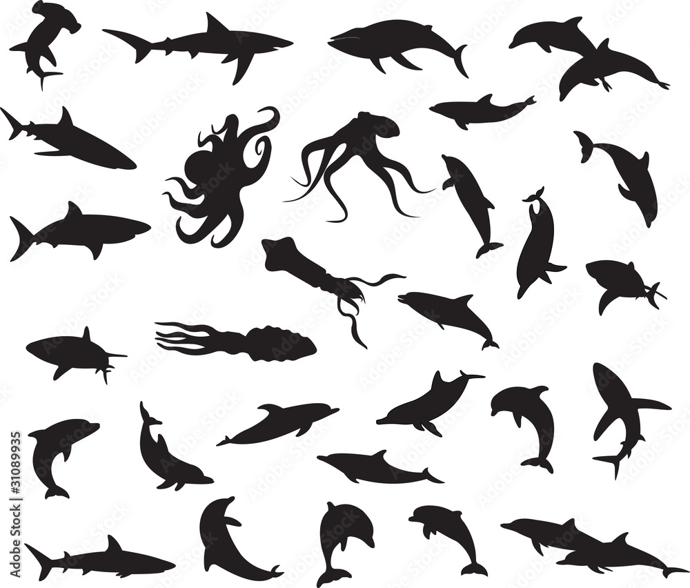 Aquatic Animals Silhouette Collection Stock Vector | Adobe Stock