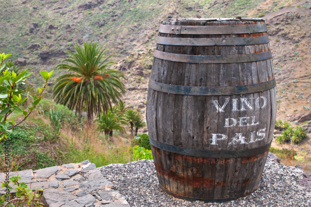 Obraz premium Lanzarote Wine against Volcanic Landscape, Canary, Spain
