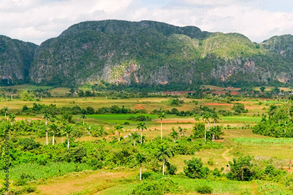Obraz premium Vinales valley, Cuba