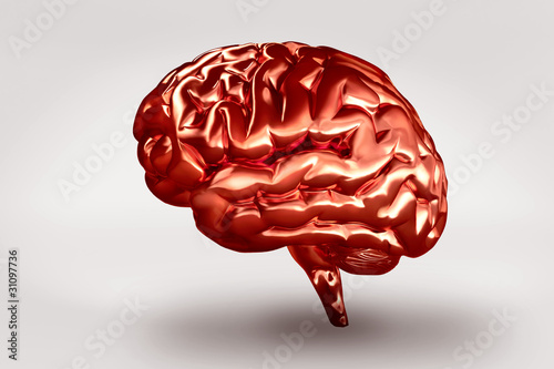 Metallic Brain Side3 photo