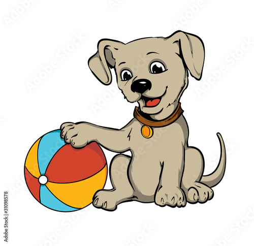 dog beach ball