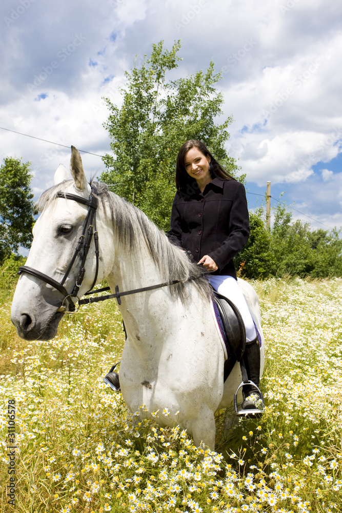 equestrian on horseback equestrian on horseback
