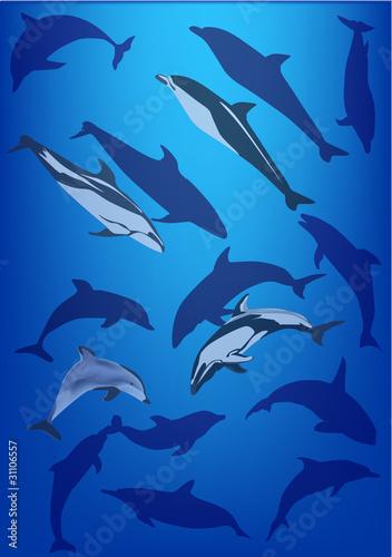 set of dolphins on blue