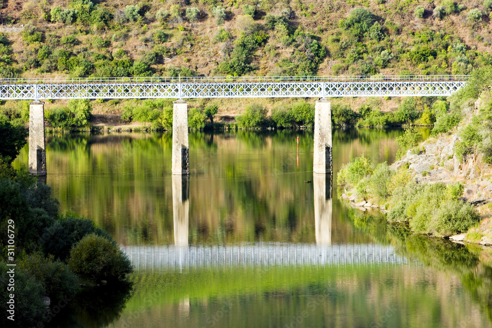 Obraz premium railway viaduct in Douro Valley, Portugal