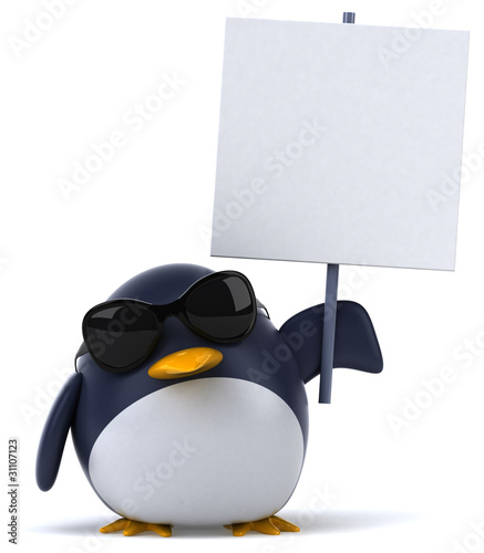 Photography Pingouin et lunettes de soleil