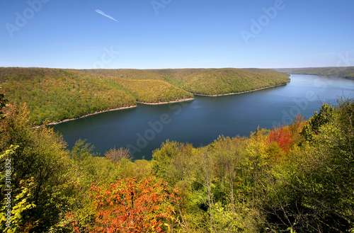 Allegheny national forest photo