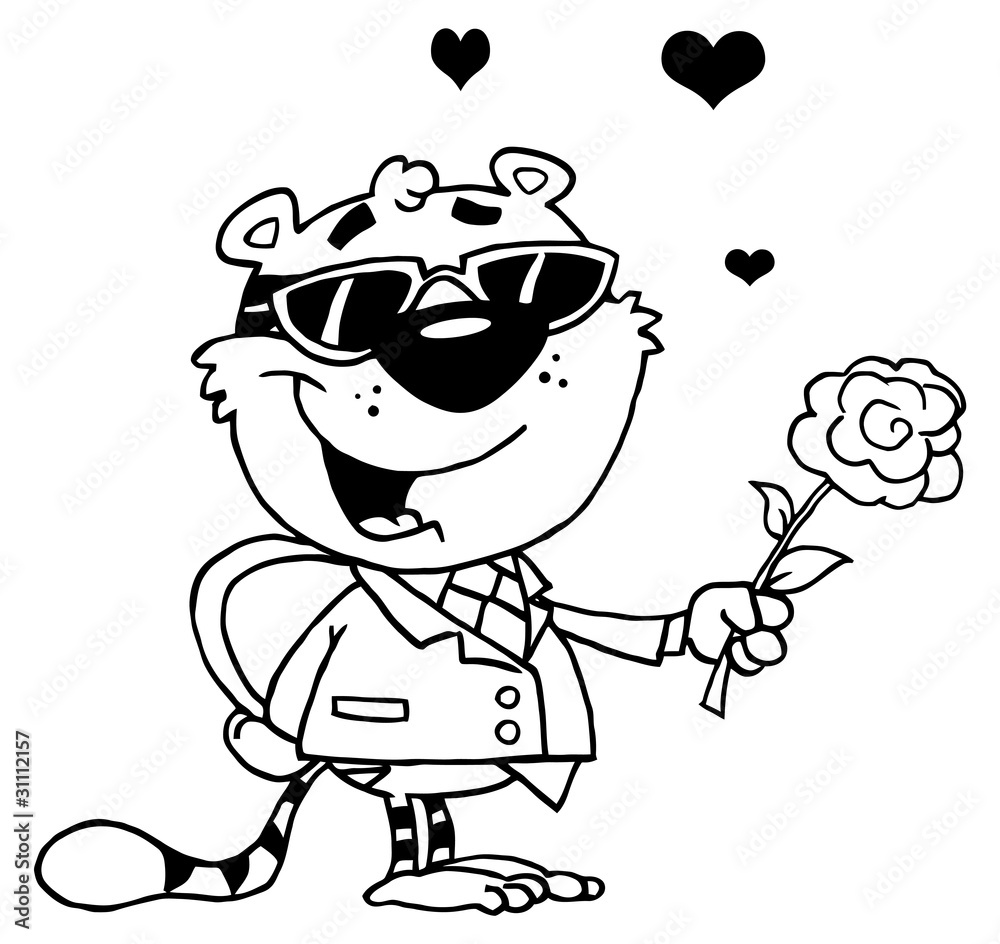 Black And White Tiger Holding A Box Of Candies And A Rose