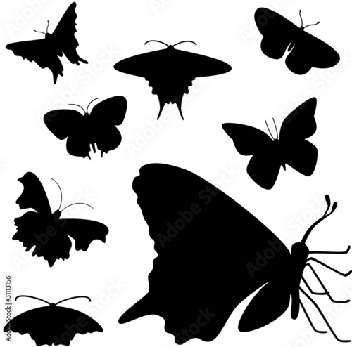 Butterflies (collection)