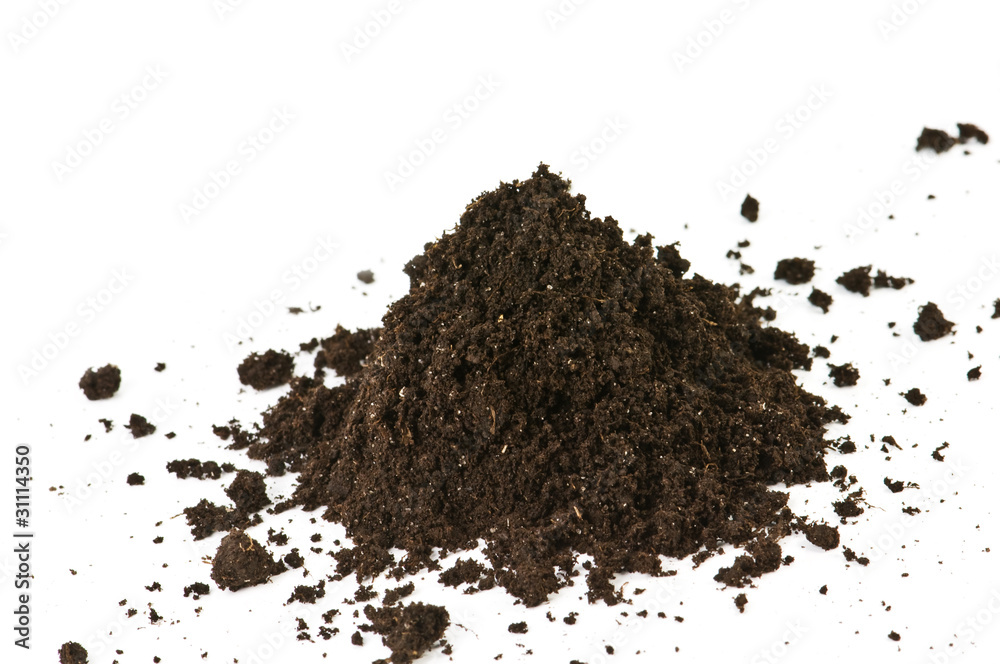 soil soil