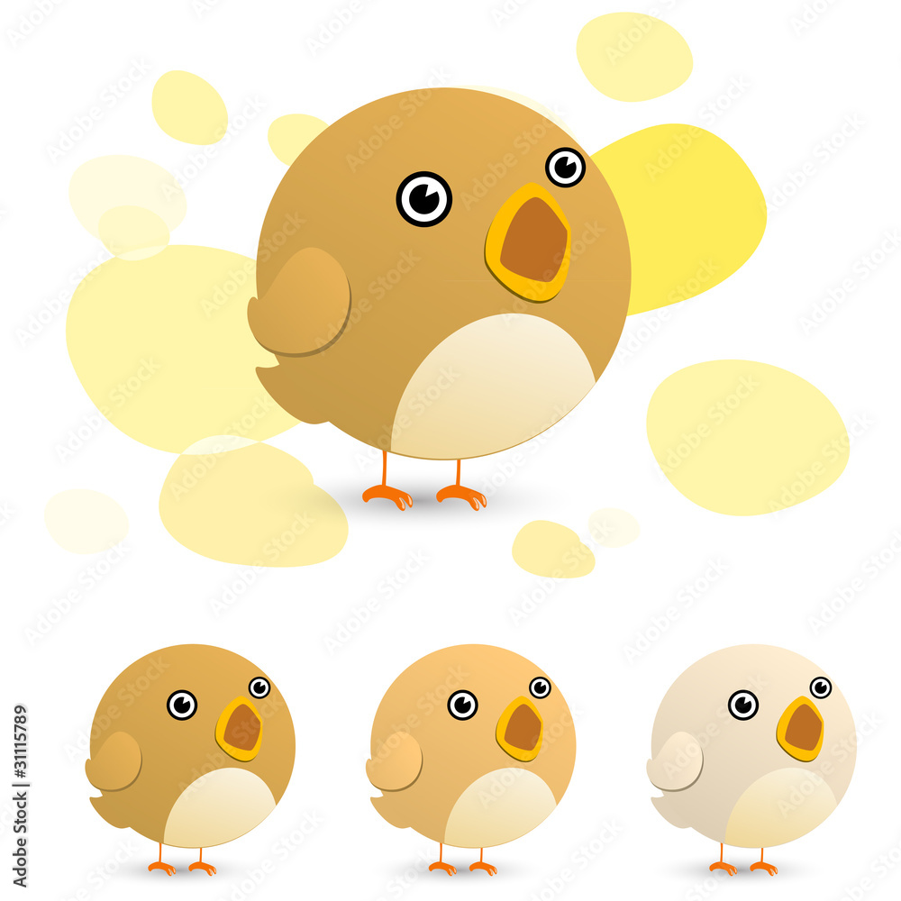 brown bird brown bird