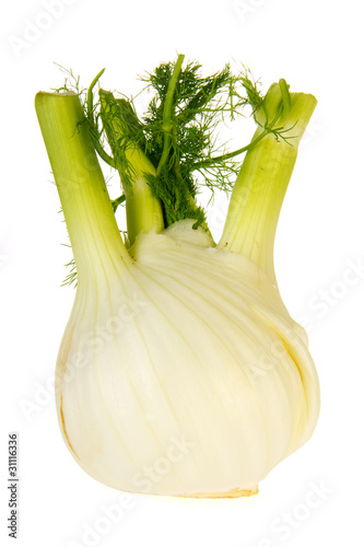 Isolated fennel