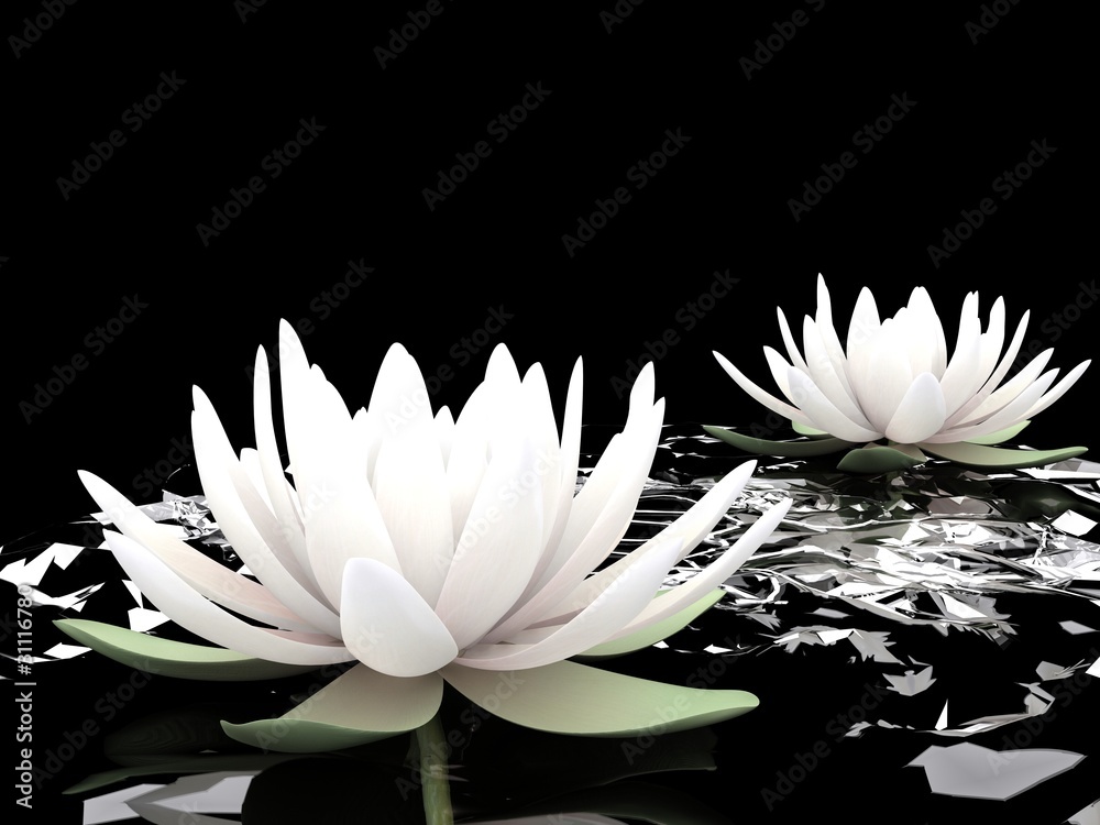 3d lotus on water Stock Illustration | Adobe Stock