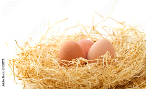 Fresh eggs in the nest