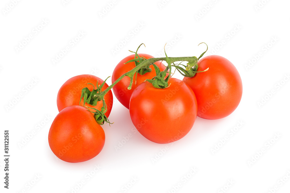 tomatoes with a green branch isolated on a white background tomatoes with a green branch isolated on a white background
