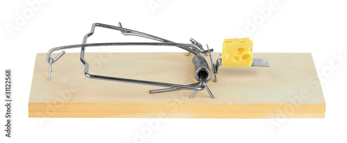 mousetrap with cheese