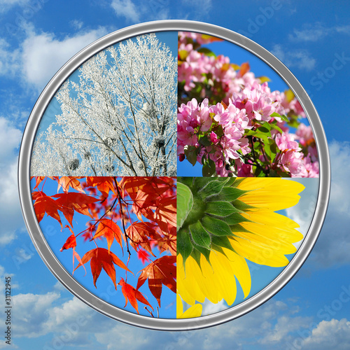 four seasons of the year on sky background