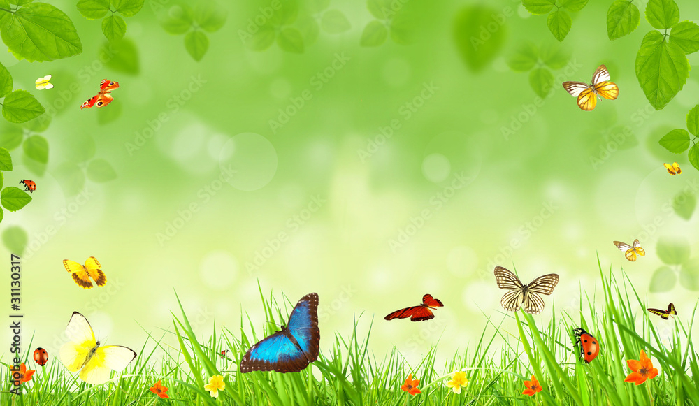 Spring background with butterflies