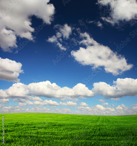 Meadow with green grass and blue sky with clouds