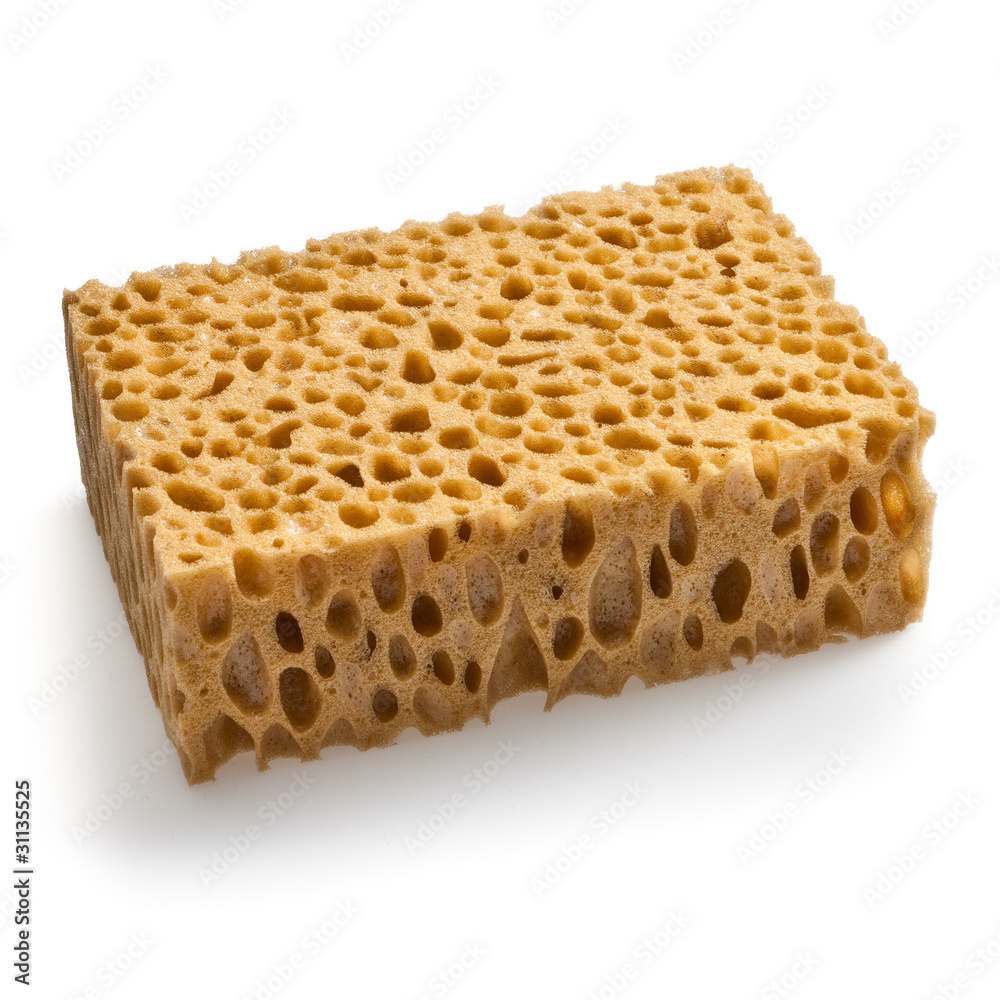 Eponge Eponge
