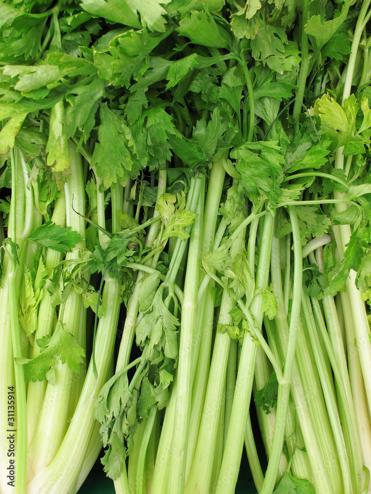 Obraz premium Bunch of celery sticks