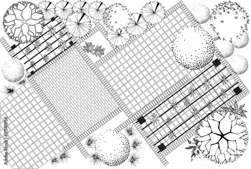 Plan of garden