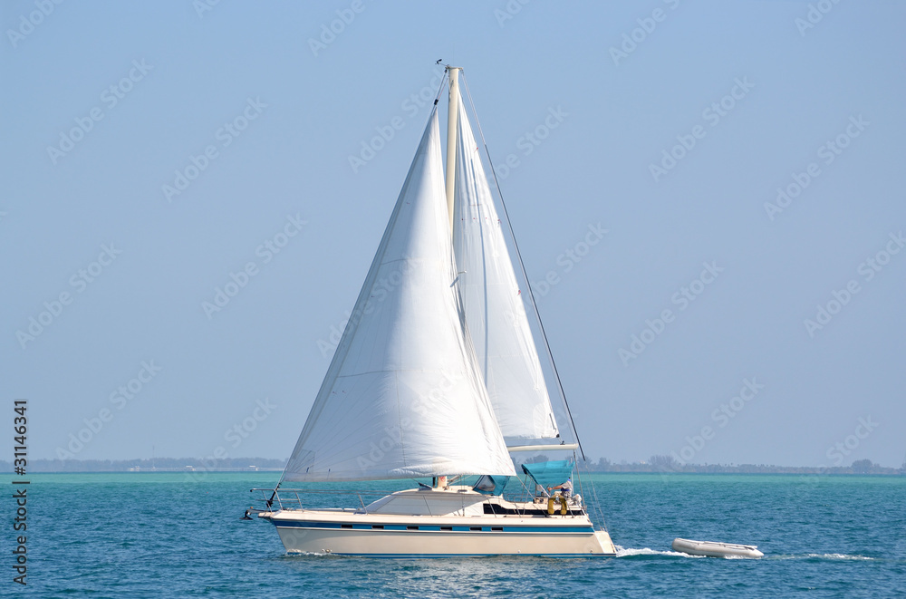 Obraz premium Sailing