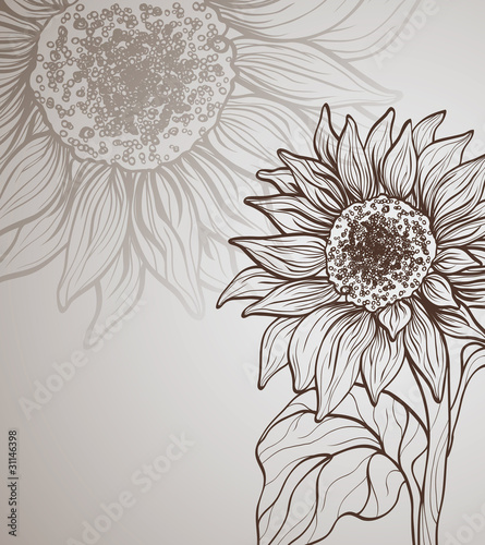background with sunflower