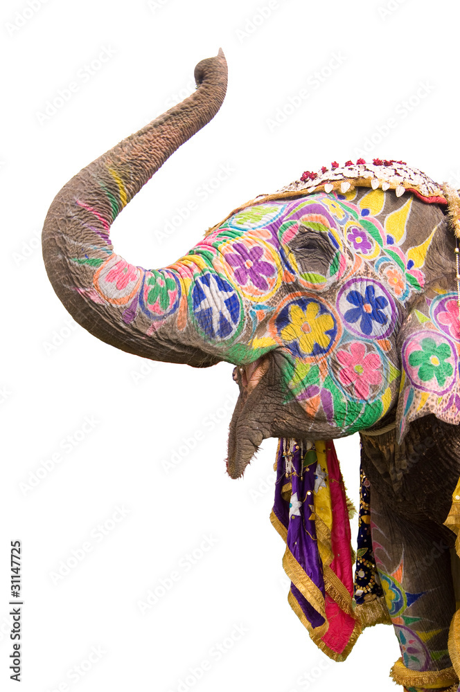 Fototapeta premium Colorful hand painted elephant , Holi festival , Jaipur, Rajasthan, India