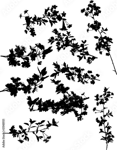 nine cherry tree branch silhouettes